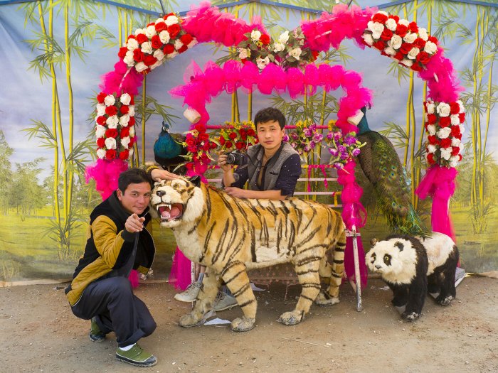 Fever for Photography in China